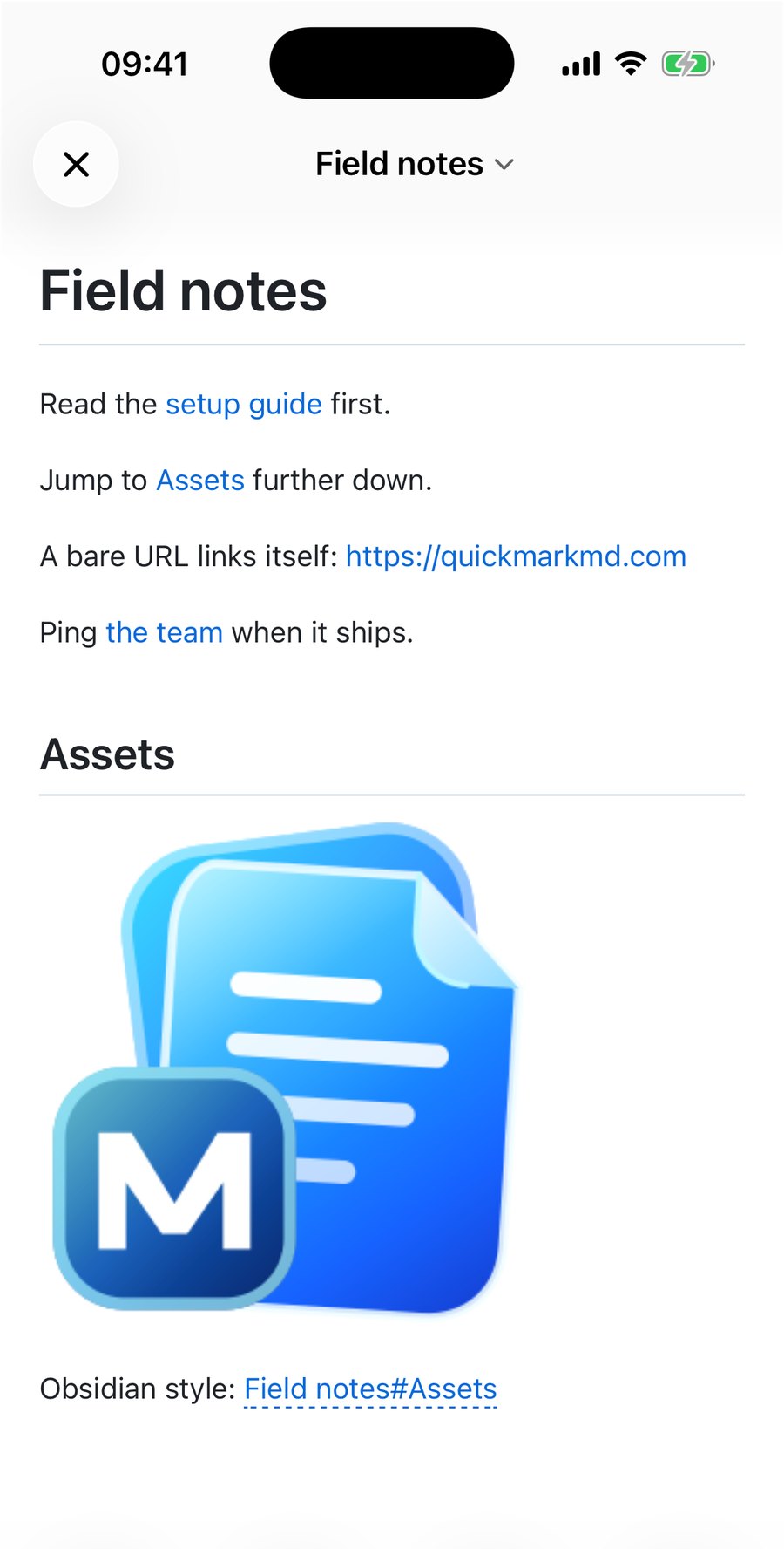 The same document rendered on iPhone: every link in blue, the image displayed inline, the wikilink with a dashed underline