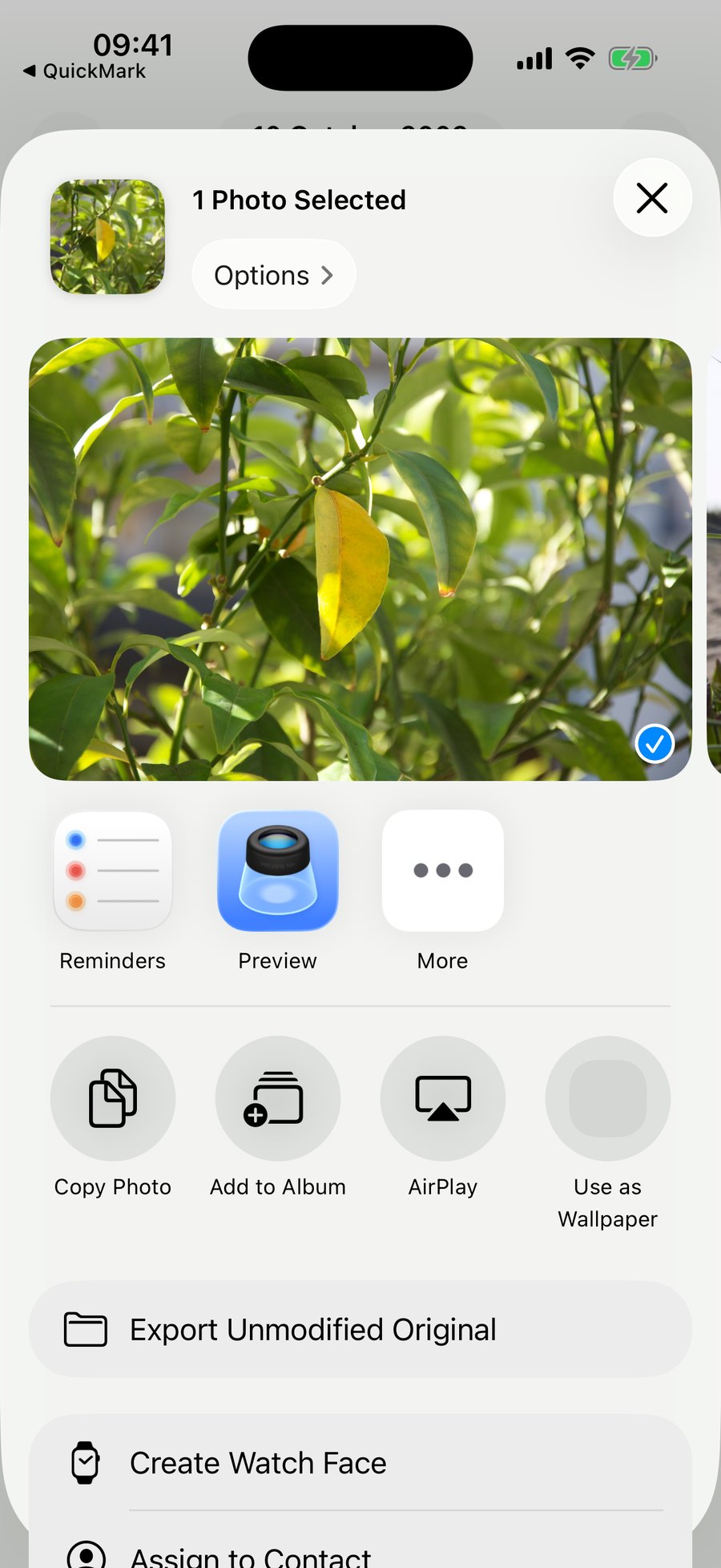 The iOS share sheet for a photo, showing an app row with Reminders and Preview but no QuickMark entry