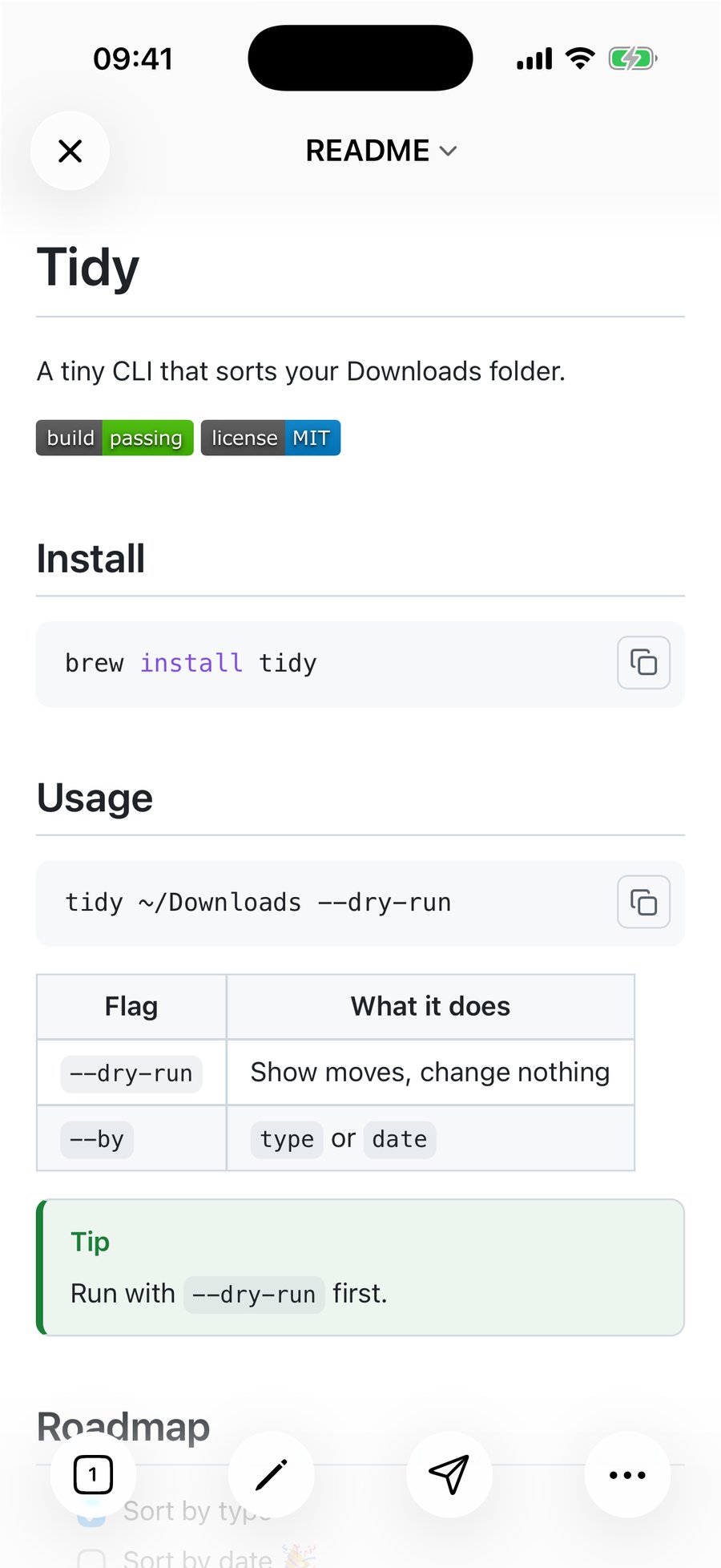 QuickMark preview on iPhone showing the rendered Tidy README: title, description, two badges, Install and Usage sections with copy buttons on the code blocks, a two-column flag table and a green Tip callout